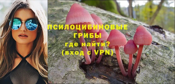 PSILOCYBIN Балахна