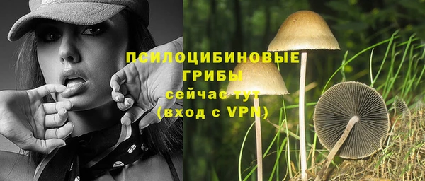 бутират Баксан