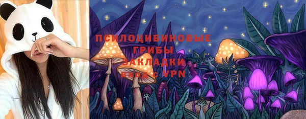 соль курить ск Белокуриха