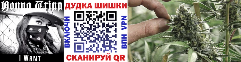 Бошки Шишки план Губаха